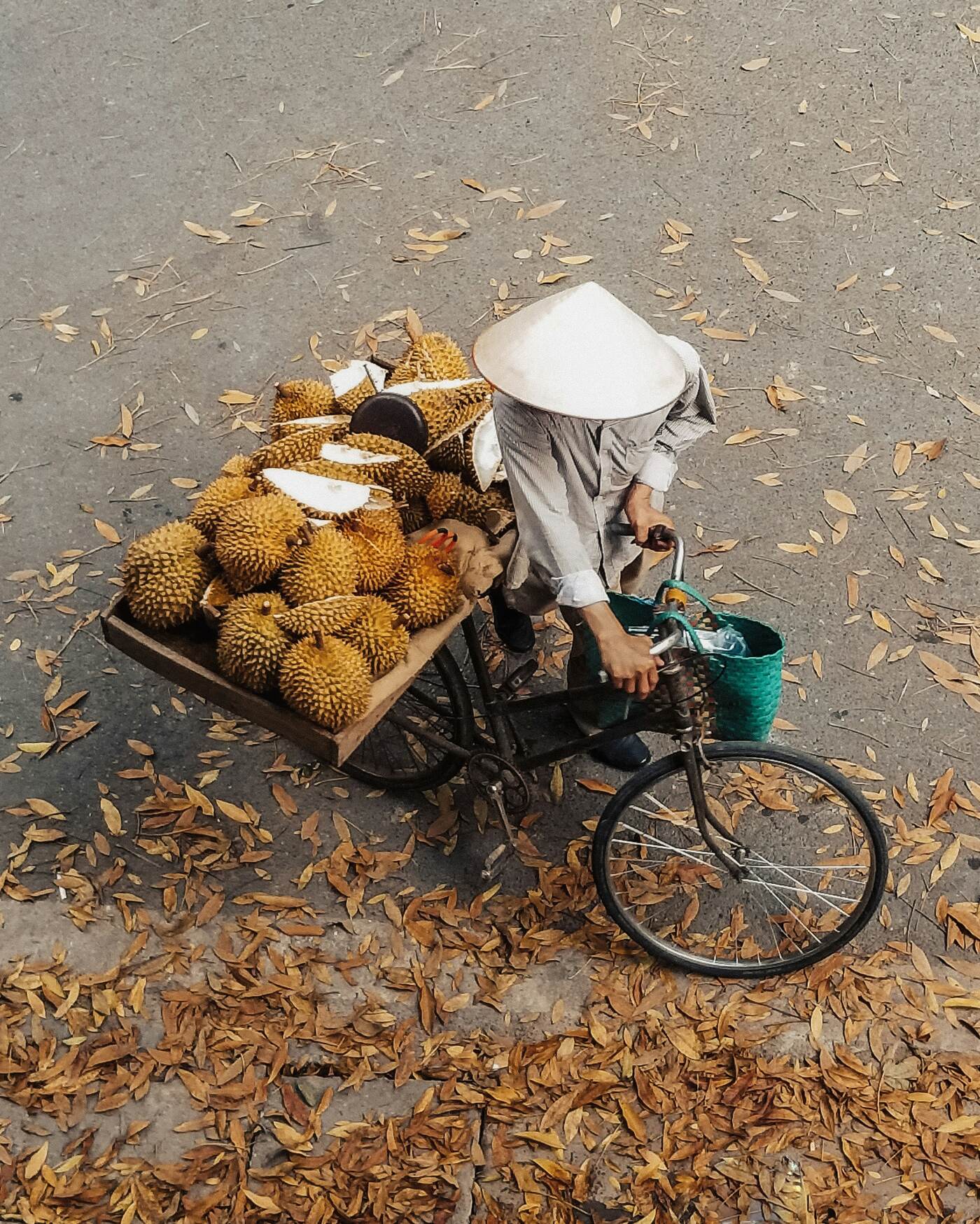 A street vendor cycling a load of durians to market