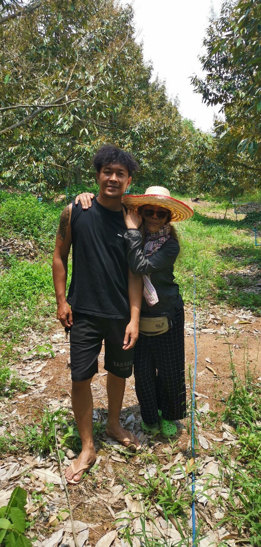 The family tending the durian test field in Thailand